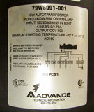 79W6091 001