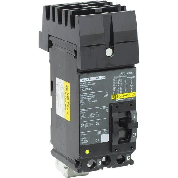 Schneider Electric FA22030BC