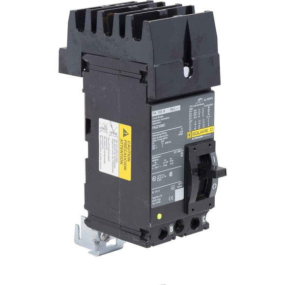 Schneider Electric FA22100BC