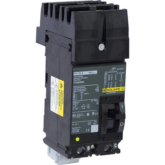 Schneider Electric FH26030BC