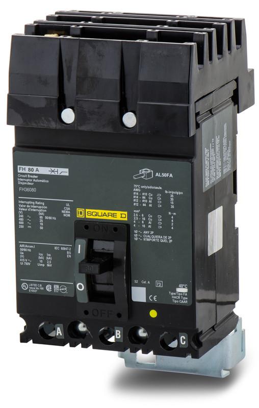 Schneider Electric FH36080