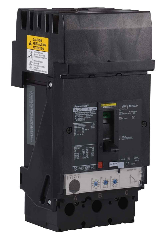 Schneider Electric JJA36250U31X